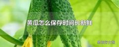 黄瓜怎么保存时间长新鲜