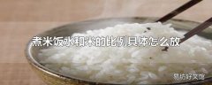 煮米饭水和米的比例具体怎么放