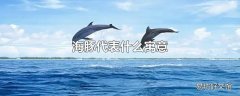 海豚代表什么寓意