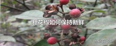 新花椒如何保持新鲜