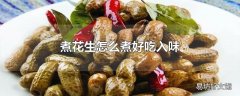 煮花生怎么煮好吃入味