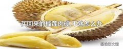 买回来的榴莲肉硬,不熟怎么办