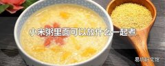 小米粥里面可以放什么一起煮