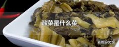 酸菜是什么菜