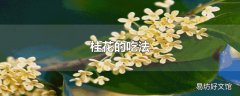 桂花的吃法