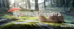 世界上牙齿最多的动物是什么