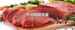 牛肉脂肪含量