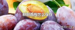 新鲜西梅怎么保存