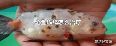 金鱼炸鳞怎么治疗