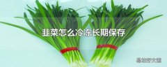 韭菜怎么冷冻长期保存