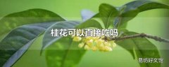 桂花可以直接吃吗