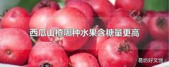 西瓜山楂哪种水果含糖量更高