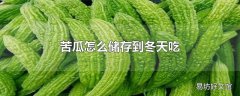 苦瓜怎么储存到冬天吃