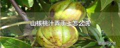 山核桃汁弄手上怎么洗