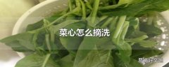 菜心怎么摘洗