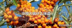 沙棘火锅什么味道