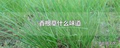 香根草什么味道