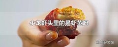 小龙虾头里的是虾黄吗