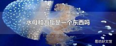 水母和海蜇是一个东西吗