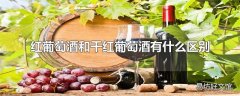 红葡萄酒和干红葡萄酒有什么区别