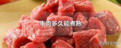 牛肉多久能煮熟