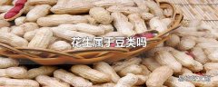 花生属于豆类吗