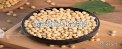 黄豆是碳水化合物吗