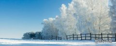 雪是什么味道