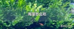 海藻怎么吃