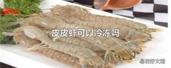 皮皮虾可以冷冻吗