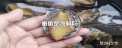 鲍鱼是海鲜吗?