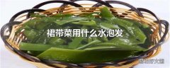 裙带菜用什么水泡发