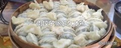 肉饺子蒸多久才熟