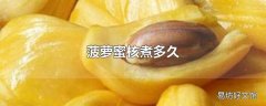 菠萝蜜核煮多久