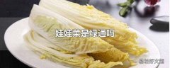 娃娃菜是绿通吗