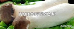 杏鲍菇怎样判断坏没坏