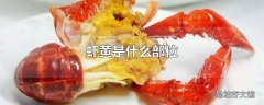 虾黄是什么部位