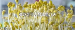 绿豆芽可以放冰箱几天