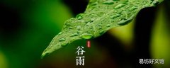 谷雨说说