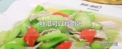 丝瓜可以炒肉吗