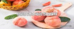 桃能放进冰箱吗怎么保存