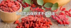 枸杞怎么保存才不会粘连