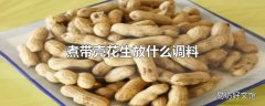 煮带壳花生放什么调料