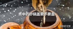 煮中药砂锅盖要不要盖