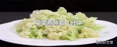 花菜煮熟要几分钟