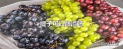 提子可以酿酒吗