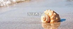 海螺煮多久