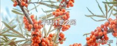 沙棘汁怎么喝