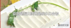 豆腐是蛋白质还是碳水化合物