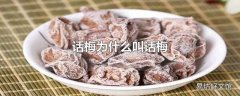 话梅为什么叫话梅